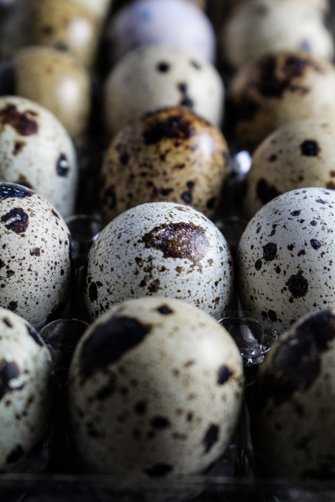 An Easter Appetizer // Duck Fat Toasts with Quail Eggs and Asparagus Pesto