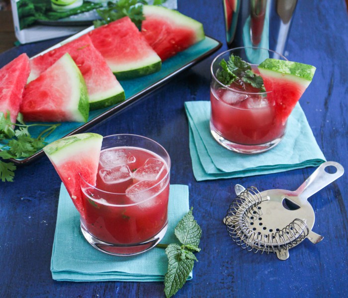 Book Club: Summer Cocktails // Watermelon Pisco Refresher