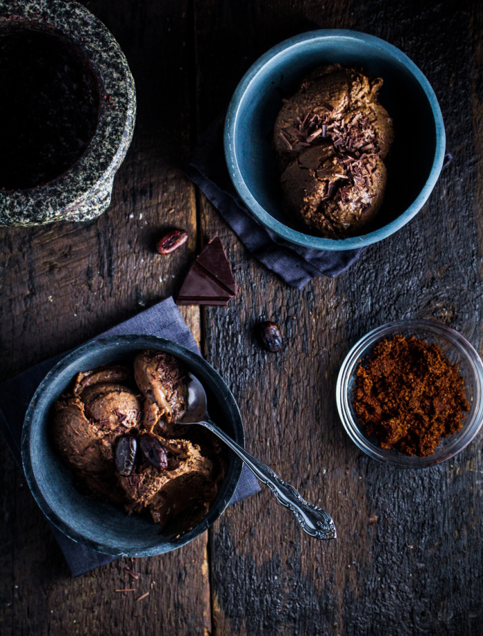 Book Club: Yucatan, Recipes from a Culinary Expedition // Mayan Chocolate Frozen Custard