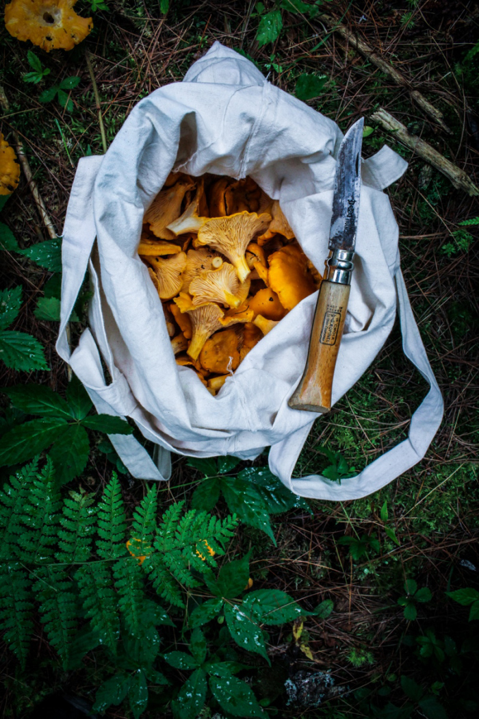 Foraging // Chanterelle and Corn Tacos with Chile Crema