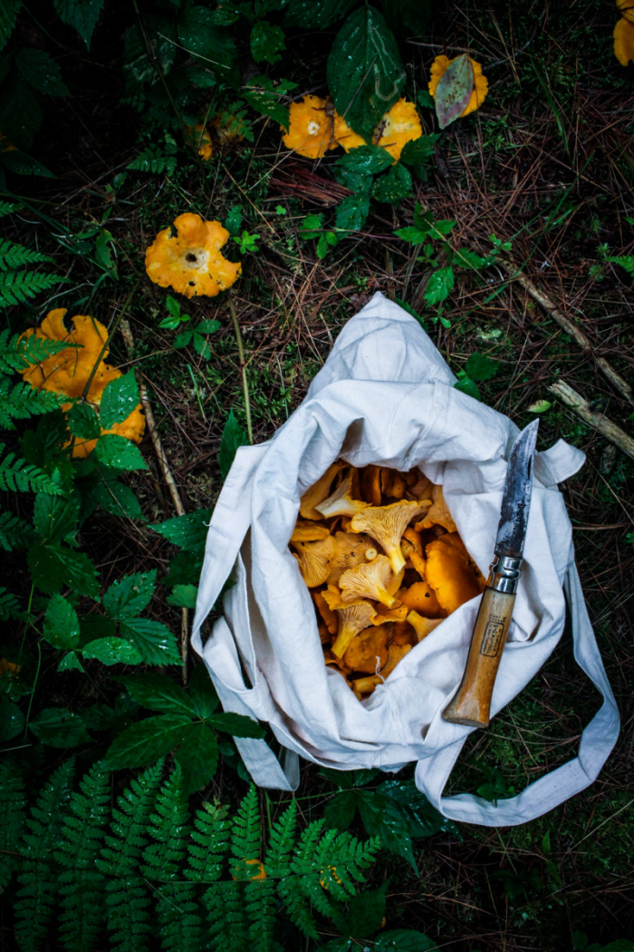 Foraging // Chanterelle and Corn Tacos with Chile Crema