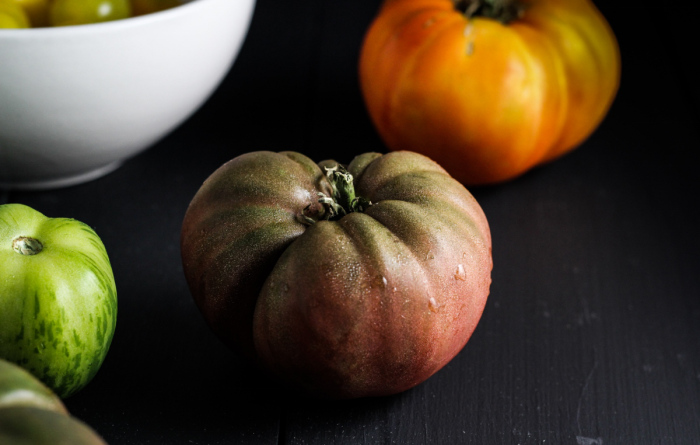 Garden Update // Tomato Panzanella with Mozzarella and Basil