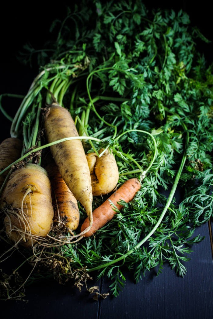 Ingredient of the Week: Carrots // Moroccan Carrot Panini with Olive Tapenade