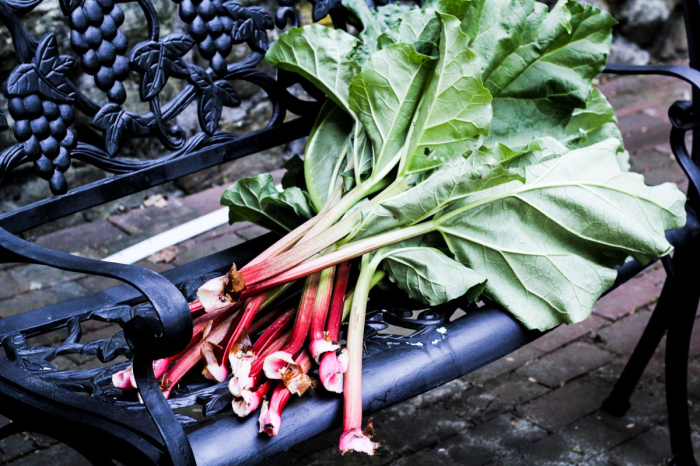 Ingredient of the Week: Rhubarb // Persian Rhubarb and Beef with Rice