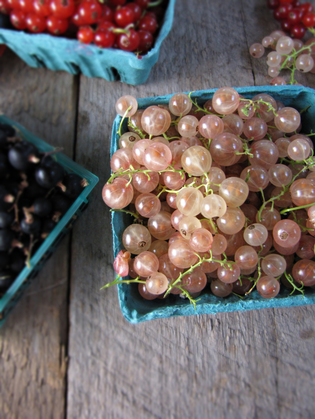 Red Currants, Two Ways