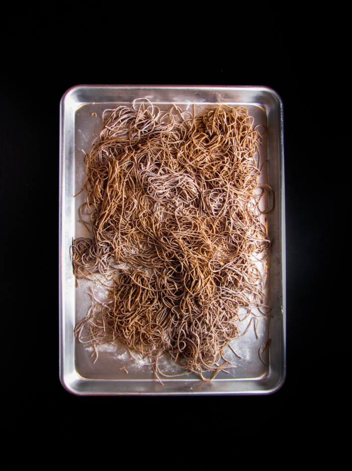 SPQR: Modern Italian Food and Wine