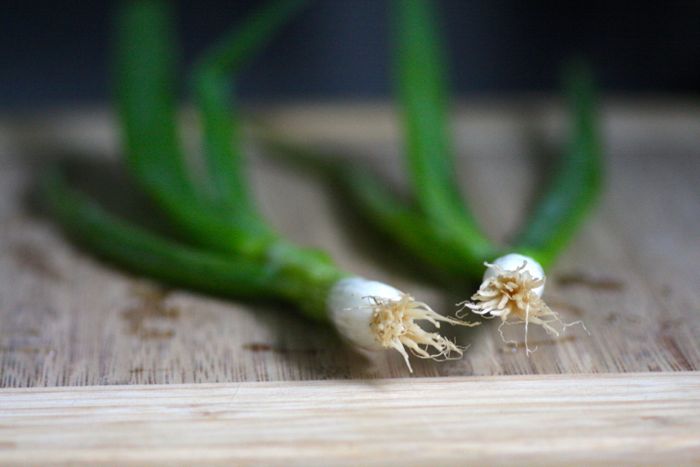 Garlic Onion Veggie Dip from Food Loves Writing