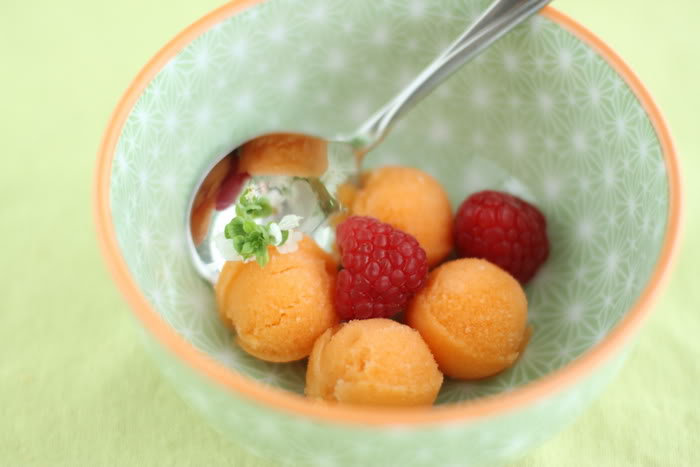 Grapefruit Carrot Sorbet and Gingersnap Cookies