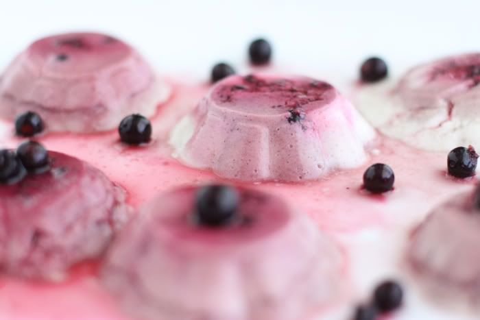 Raw Black Currant Panna Cotta