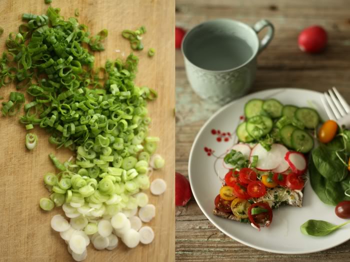 Raw Coriander Tartines with a Coconut-Cilantro Cream Cheese