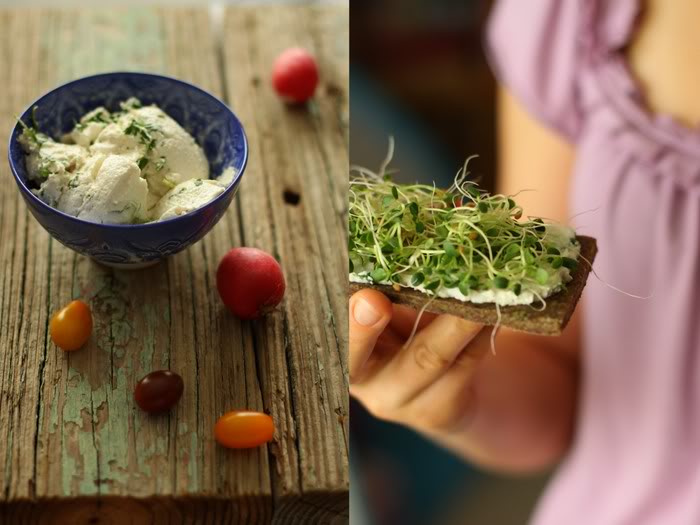 Raw Coriander Tartines with a Coconut-Cilantro Cream Cheese