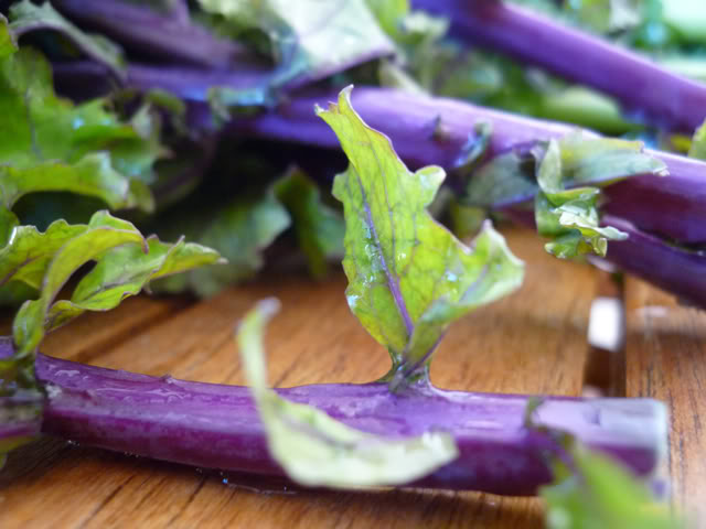 Raw Kale Chips