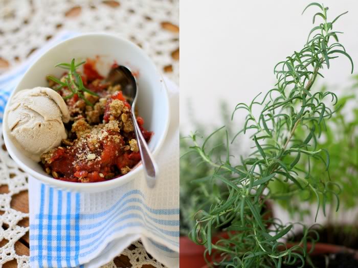 Raw Rosemary Plum Crumble