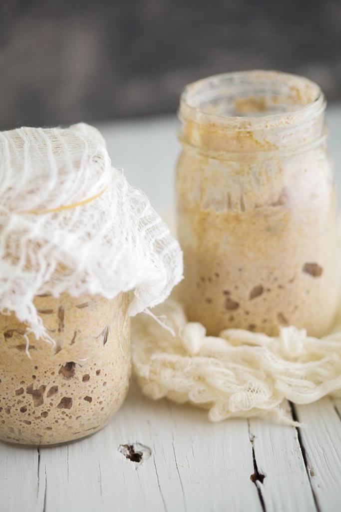 Sprouted Sourdough Bread for Fermentation Week