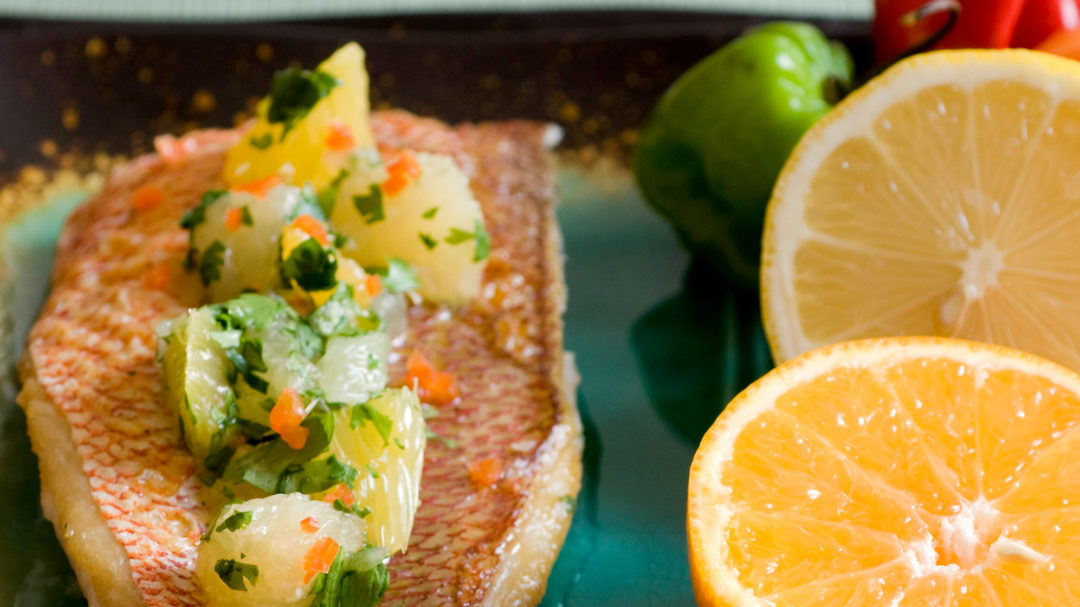 Maya Citrus Salsa With Red Snapper