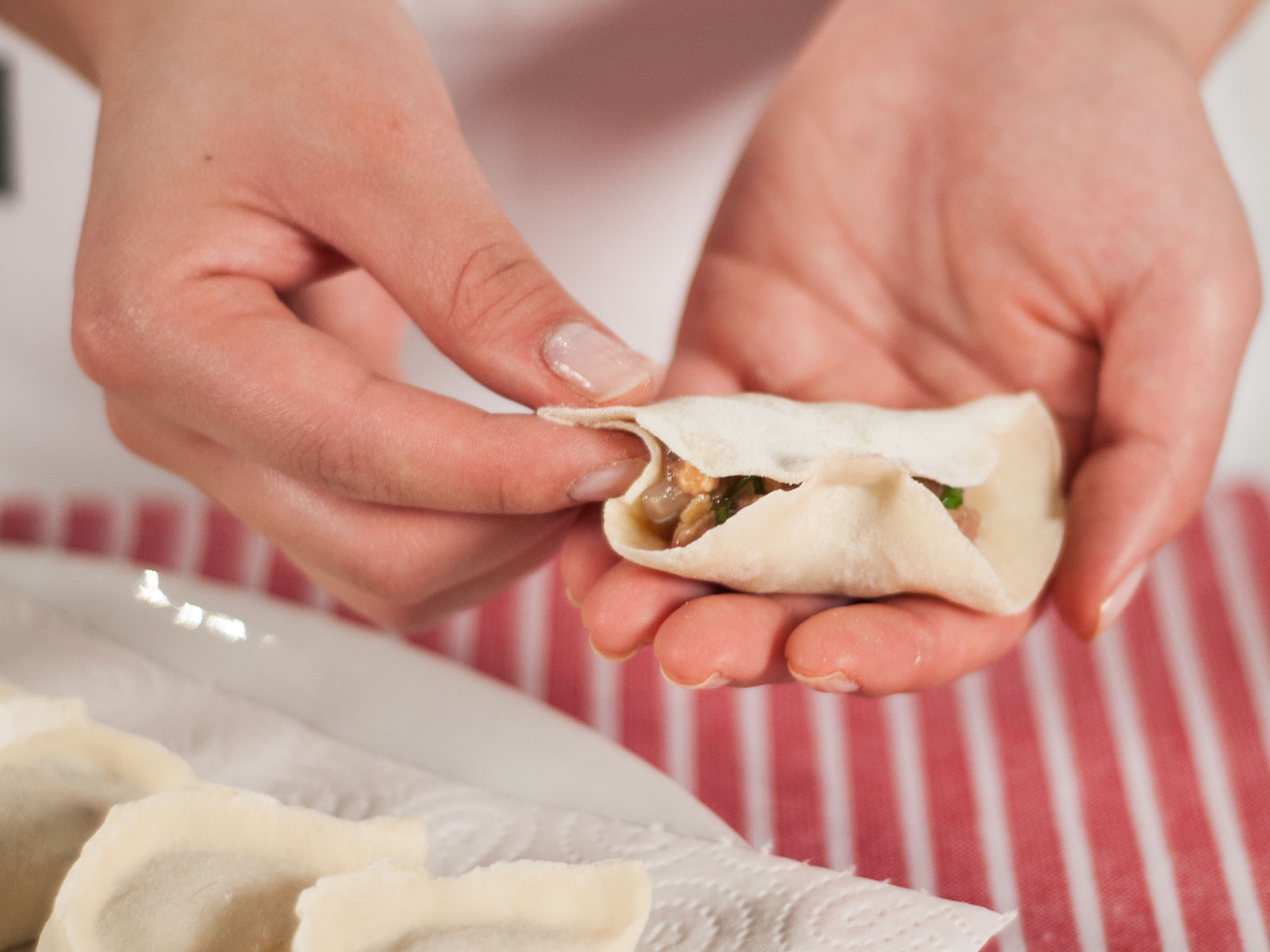 Three savory dumplings