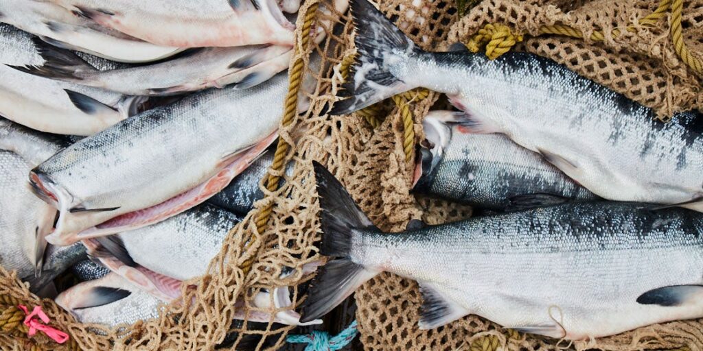 How to Eat Seafood Responsibly: A Guide from Chef Eric Ripert How to Eat Seafood Responsibly: A Guide from Chef Eric Ripert