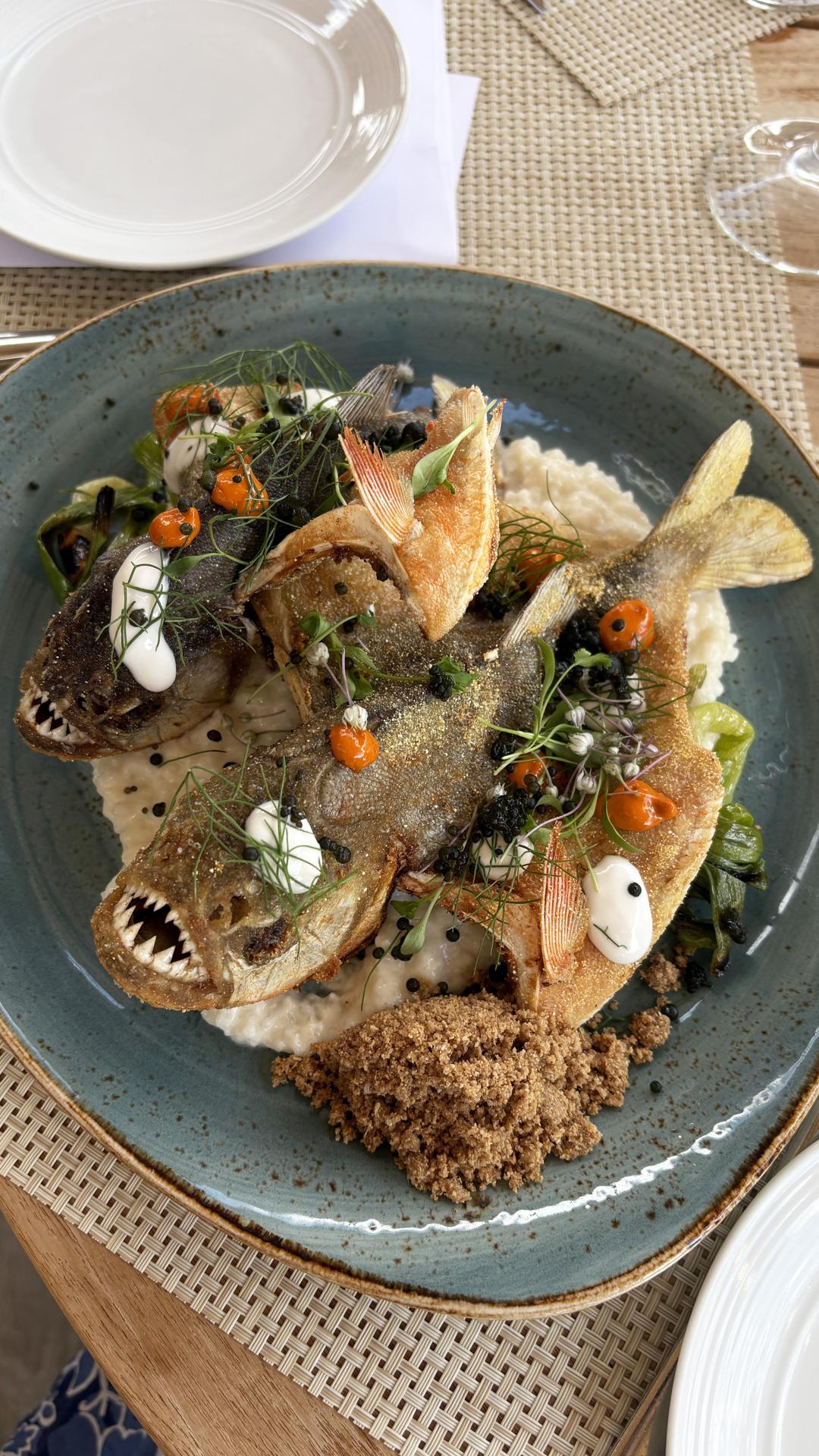 *Chef's Table piranha (marsia taha).JPG