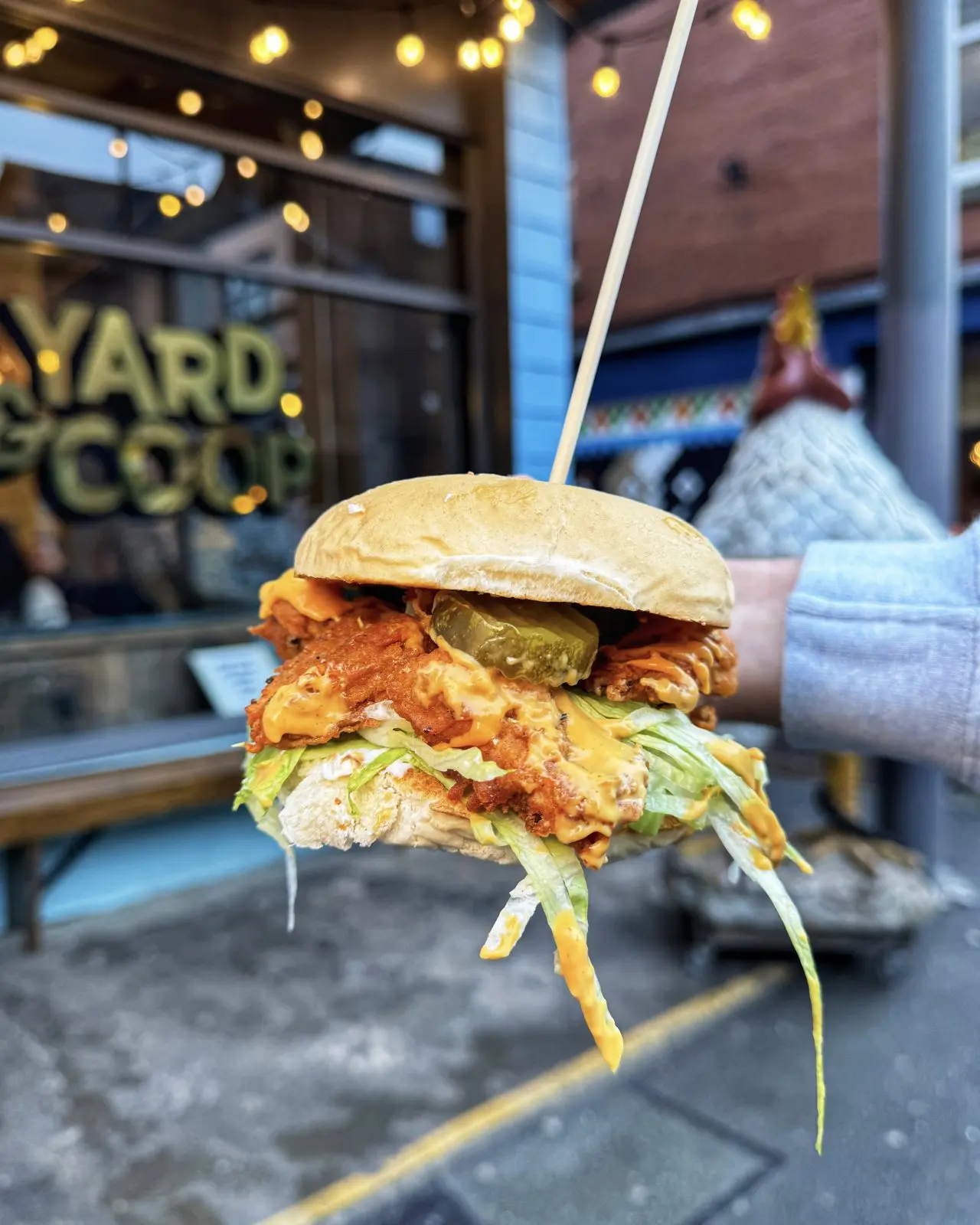 Yard & Coop