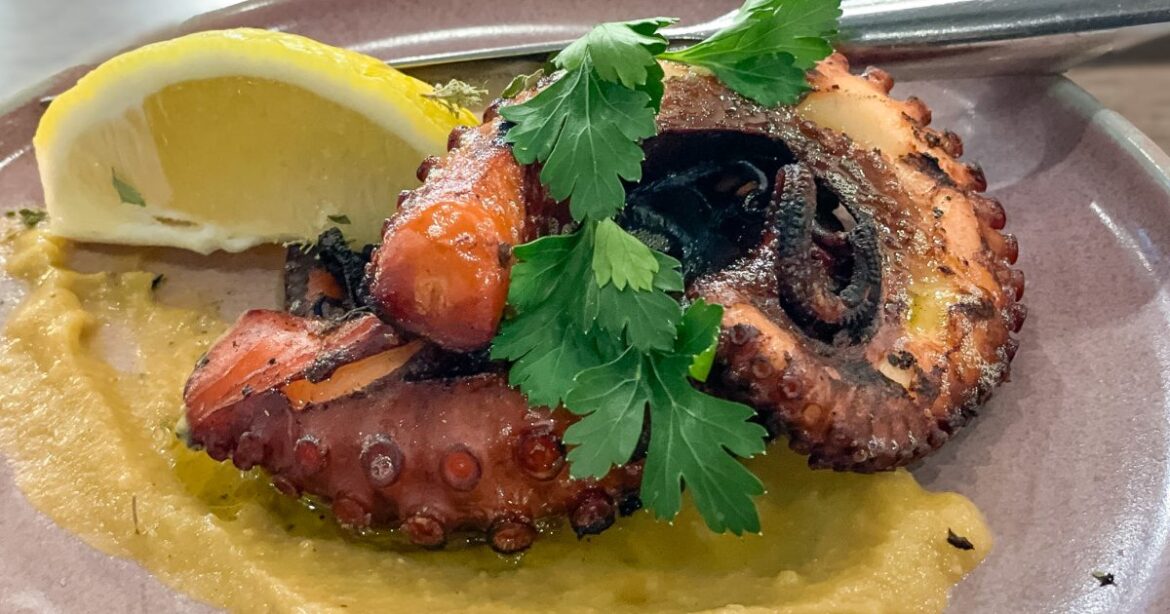 5 of our favourite Greek eats in Canberra This is Canberra