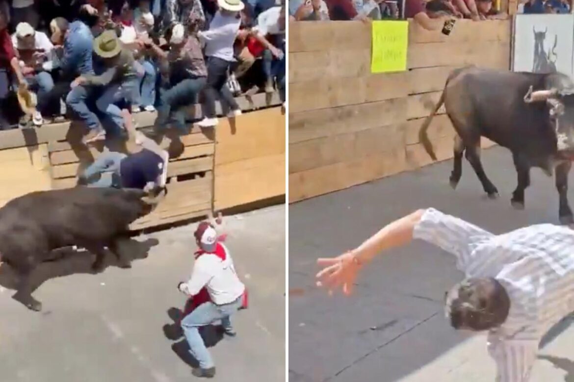 2 dead and 11 injured in horrific scenes at Mexican running of the bulls festival 2 dead and 11 injured in horrific scenes at Mexican running of the bulls festival