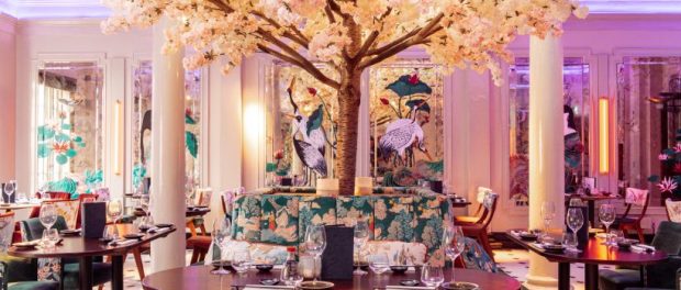 London Food and Drink Photography - Kibou Asian Restaurant Cambridge 2023 - Nic Crilly-Hargrave-10