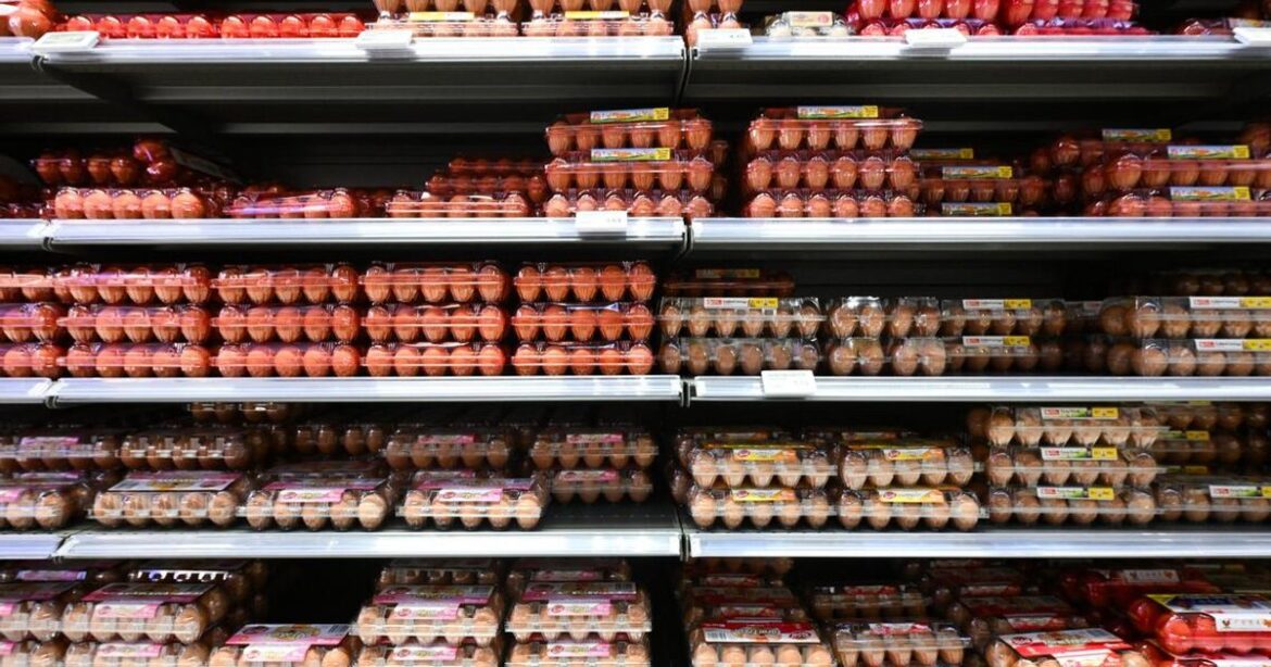 Singapore monitors Thai egg export cut amid flood losses