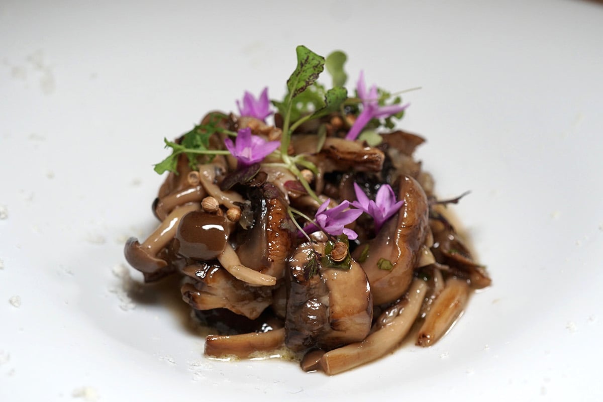 mound of Mushrooms on white plate