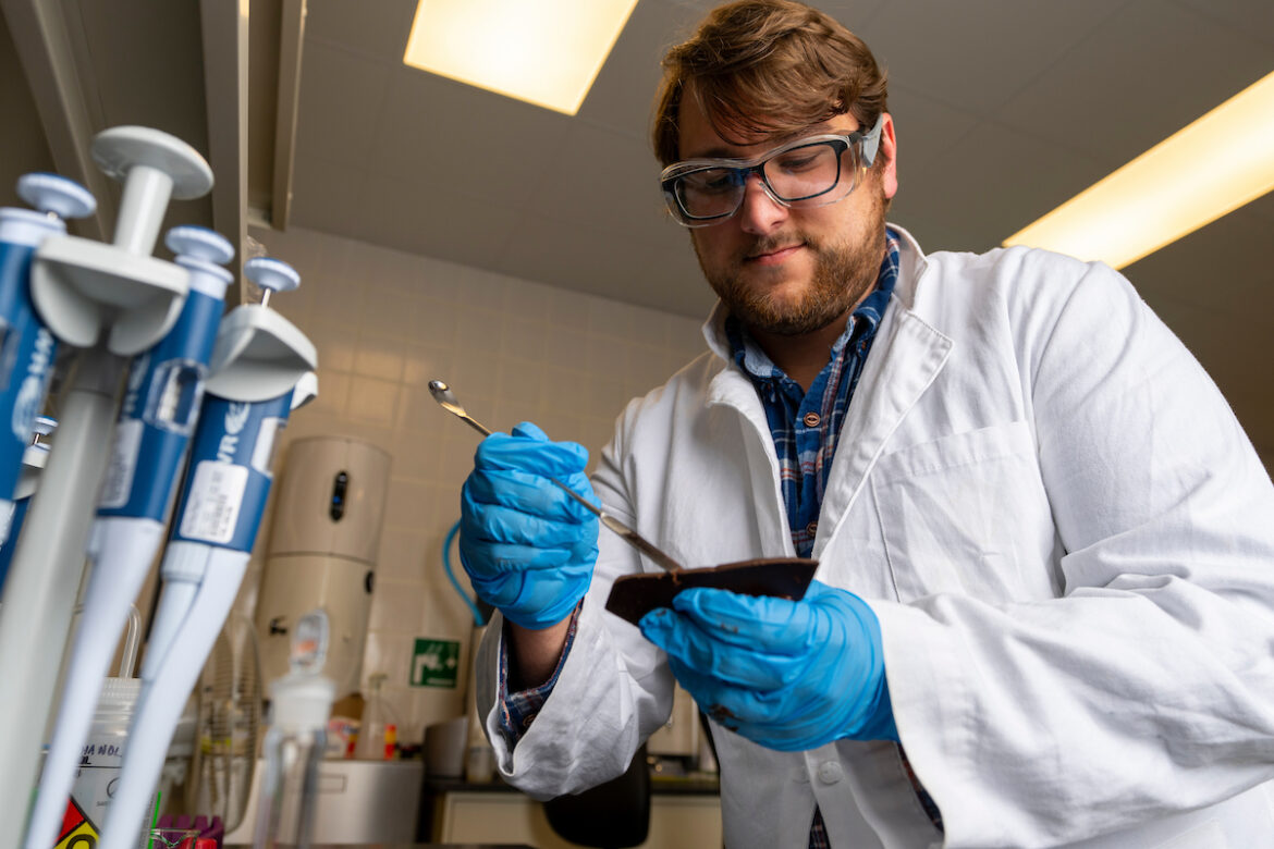 Texas A&M launches online Master of Food Technology and Leadership degree A man in a white coat in a lab looking at lab tools in his gloved hands