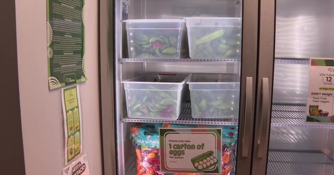 Utah Valley University finds a creative way to fight food insecurity Utah Valley University finds a creative way to fight food insecurity