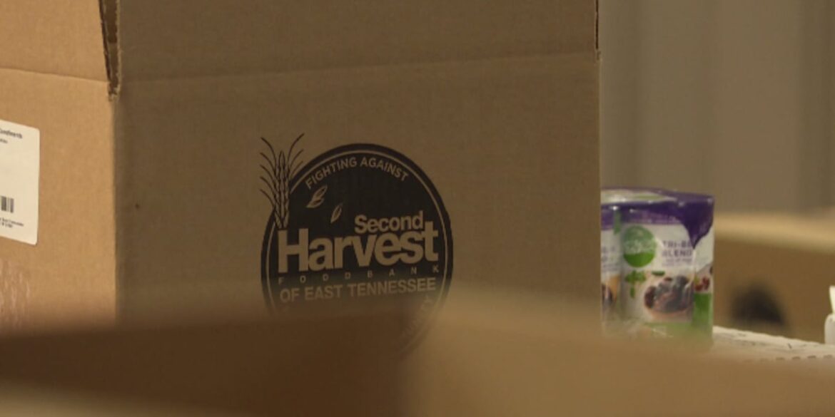 Second Harvest Food Bank launches Hunger Action Month with new campaign Second Harvest Food Bank launches Hunger Action Month with new campaign