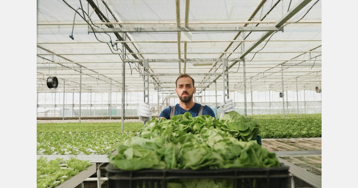 Michigan grants support greenhouse structures