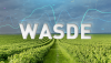 WASDE REPORT GRAPHIC