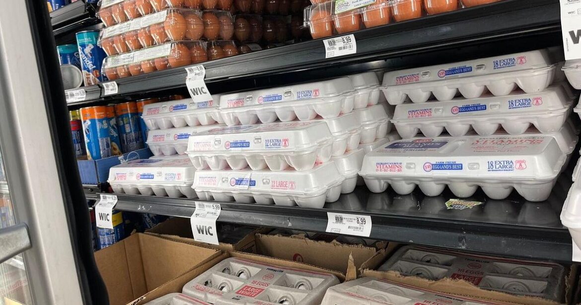 Mamdani vows 30% lower prices at NYC grocery stores | New York Mamdani vows 30% lower prices at NYC grocery stores | New York
