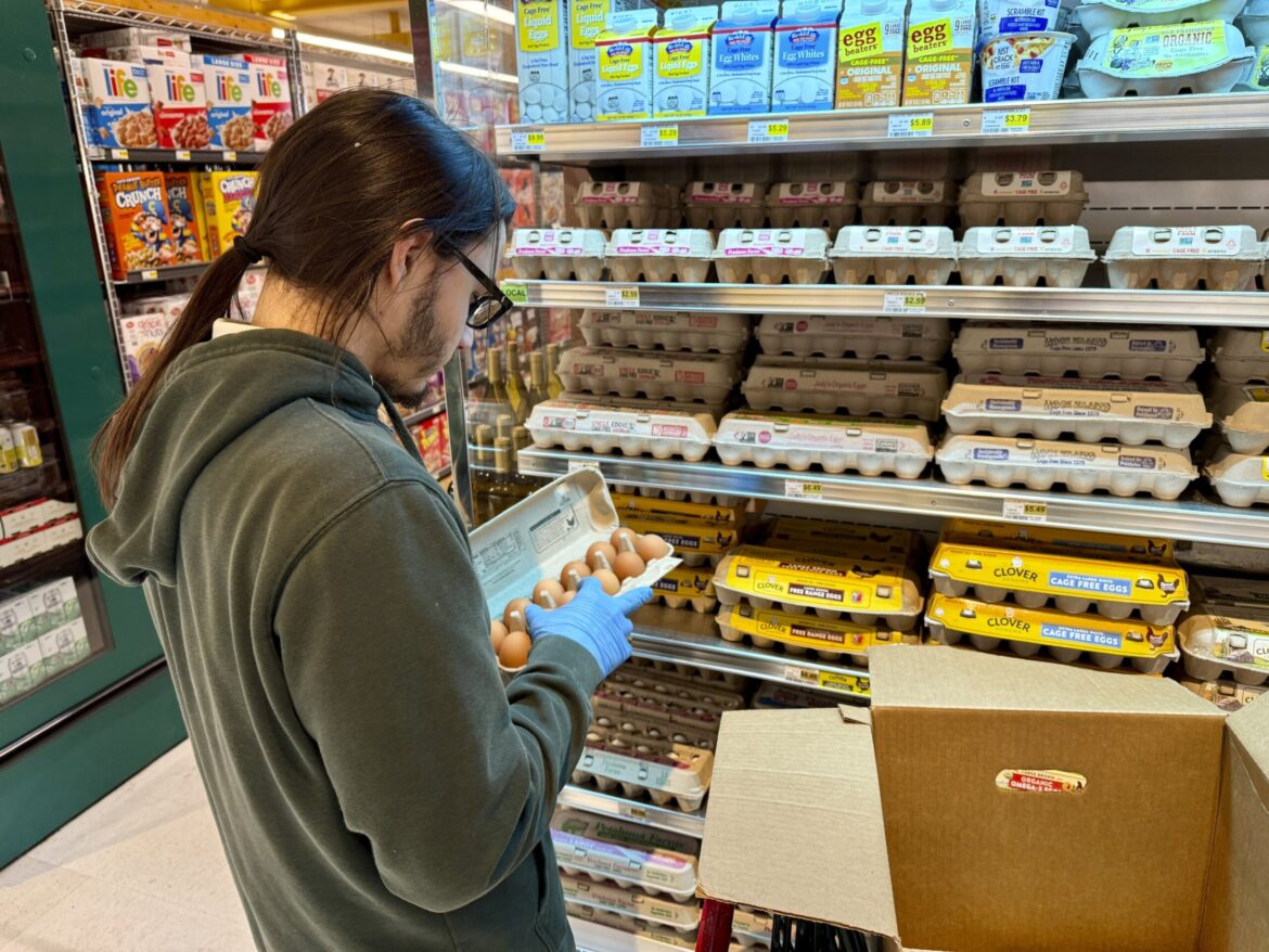 Some DC grocery stores limit egg purchases amid nationwide shortage – WTOP News