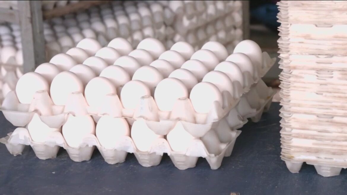 ‘Food has the power to unite us’: New law expands egg donations in Minnesota 'Food has the power to unite us': New law expands egg donations in Minnesota
