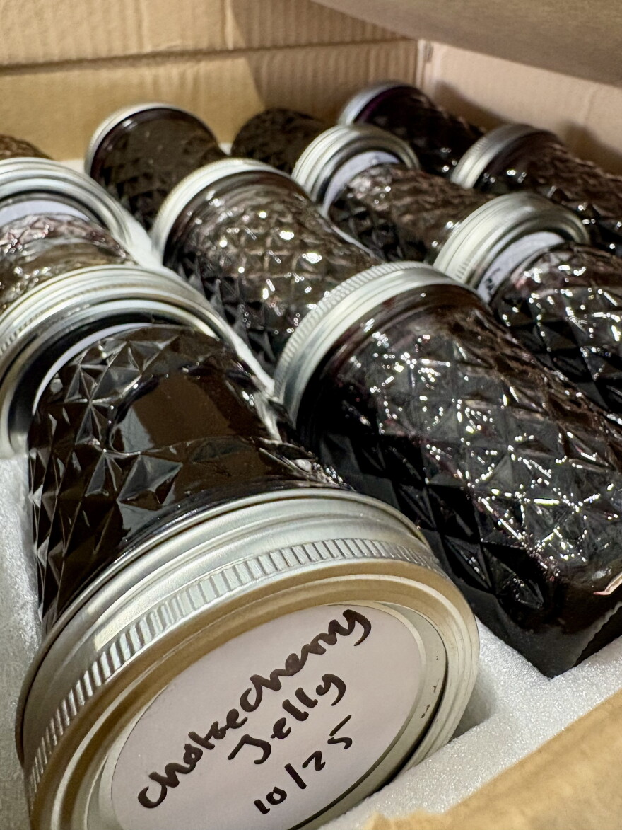 Glass jars filled with dark chokecherry jam and sporting a handwritten white label on top, tucked inside styrofoam rows in a cardboard box.