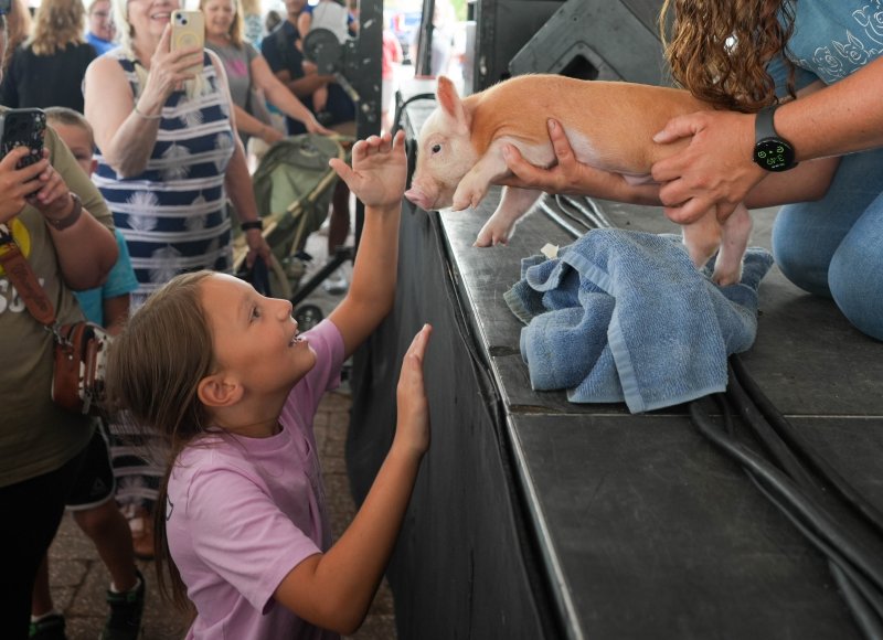 Savannah Wheeler, 7, greets Bacon Bit before giving her a smooch in the Delaware State Fair's 33rd annual 4-H Pig Kissin' Contest July 30. ELLEN MCINTYRE PHOTOS