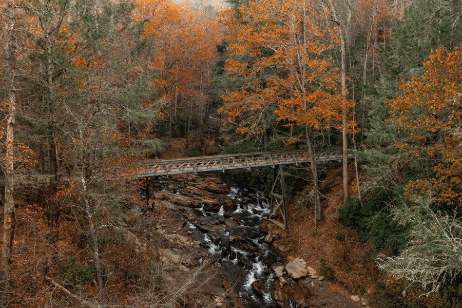 A narrow wooden bridge spans a rocky creek in a forest with autumn foliage and fallen leaves—perfect for those who love to play in Georgia's scenic outdoors.