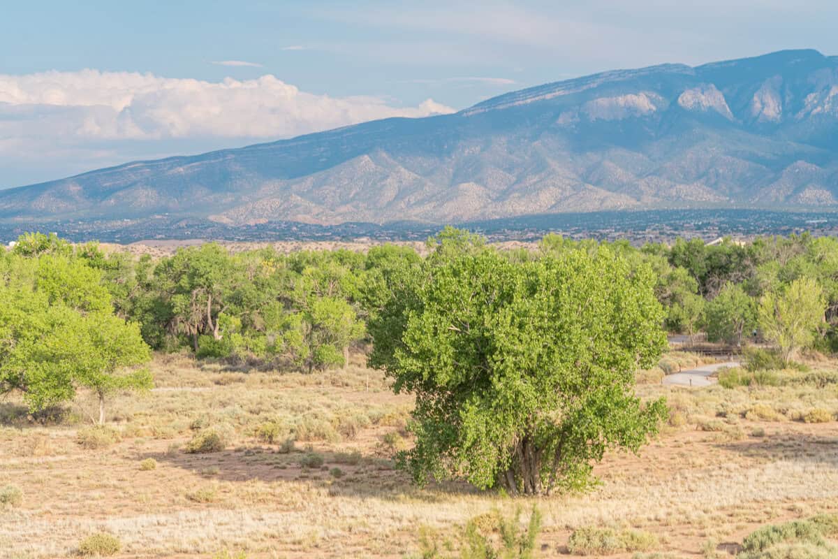 A scenic field with green trees and majestic mountains