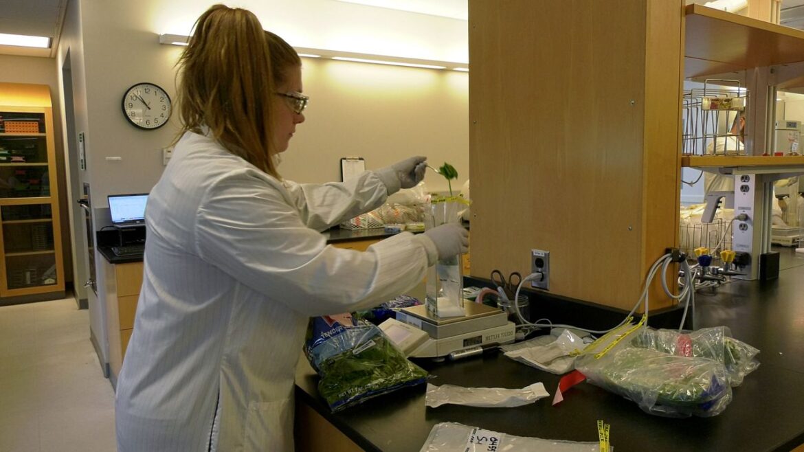 How New York tests food and handles recalls How New York tests food and handles recalls