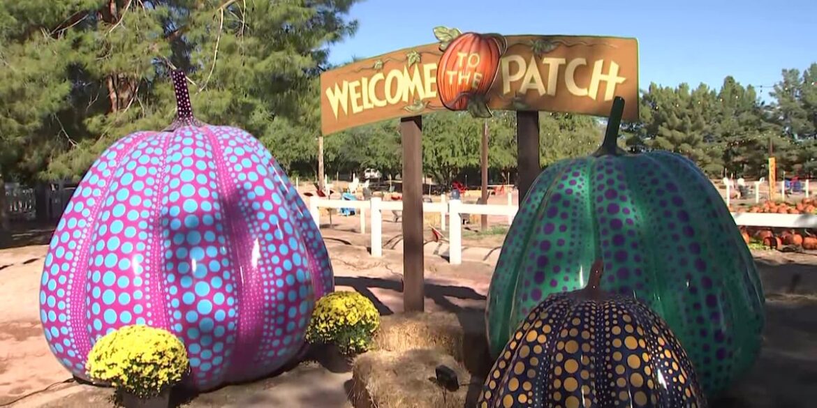 New thrills, new eats: Schnepf Farms rolls out a fresh fall lineup