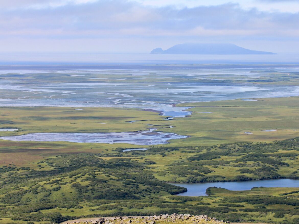 Alaska Victory: Judge Blocks Izembek Refuge Land Exchange Alaska Victory: Judge Blocks Izembek Refuge Land Exchange