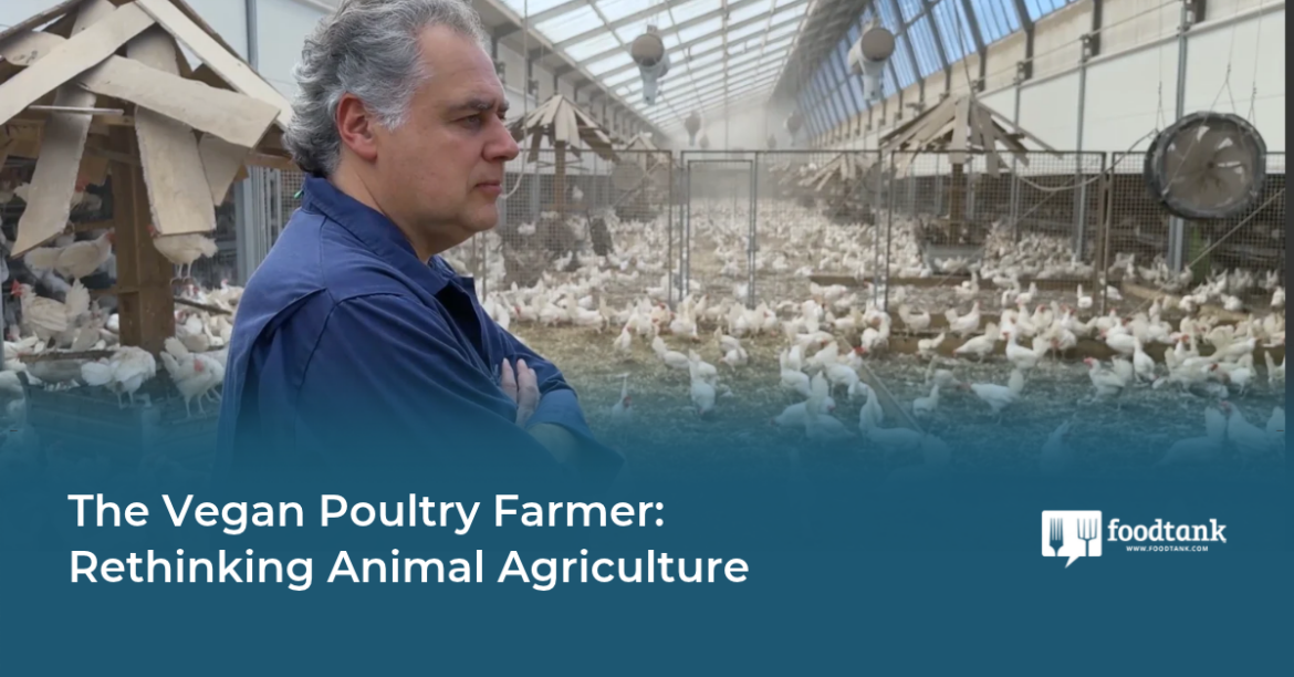 The Vegan Poultry Farmer: Rethinking Animal Agriculture – Food Tank The Vegan Poultry Farmer: Rethinking Animal Agriculture – Food Tank