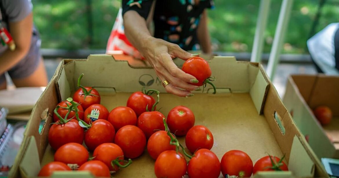 Food rescue group Sharing Excess looks to Michigan producers to expand statewide efforts