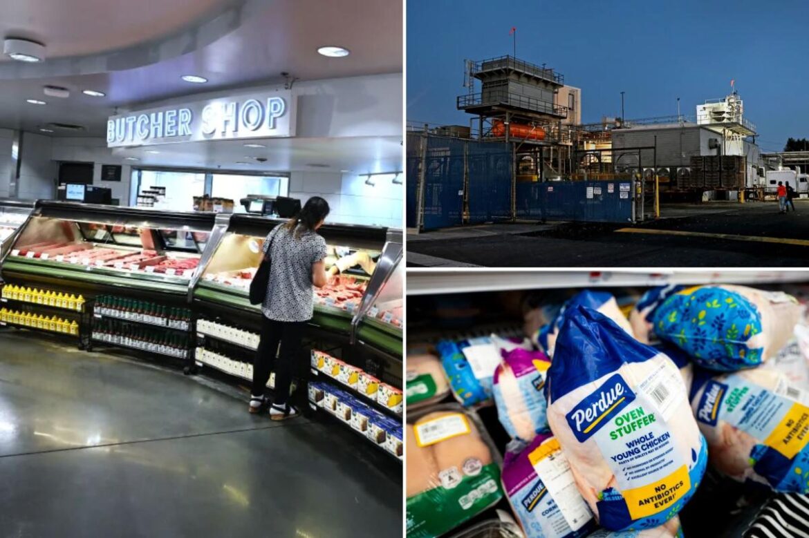 Whole Foods’ private-label ‘365’ chicken comes from Perdue plants with salmonella issues: report Whole Foods' private-label '365' chicken comes from Perdue plants with salmonella issues: report