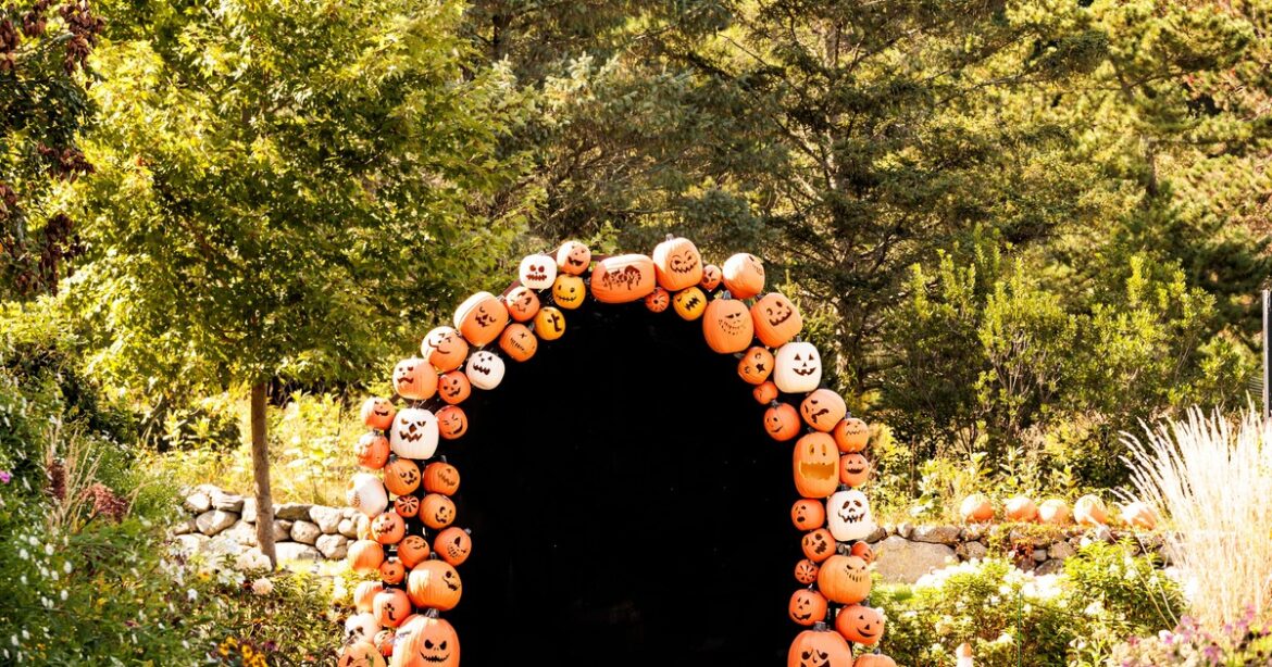 I’m a Massachusetts native. Skip Salem and check out this less-crowded neighboring city for Halloween fun. I'm a Massachusetts native. Skip Salem and check out this less-crowded neighboring city for Halloween fun.