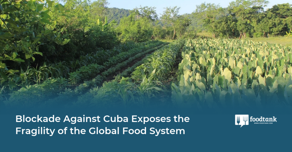 Ed | Blockade Against Cuba Exposes the Fragility of the Global Food System – Food Tank Ed | Blockade Against Cuba Exposes the Fragility of the Global Food System – Food Tank