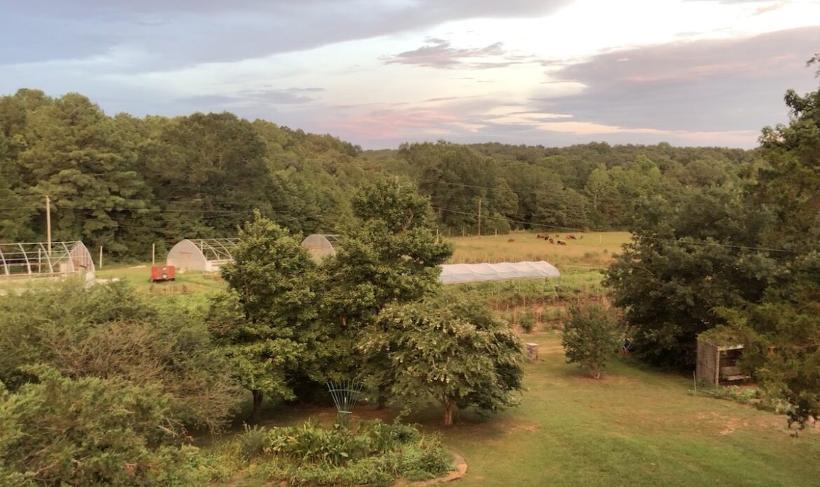 Lose the row crops; farmers need to grow food