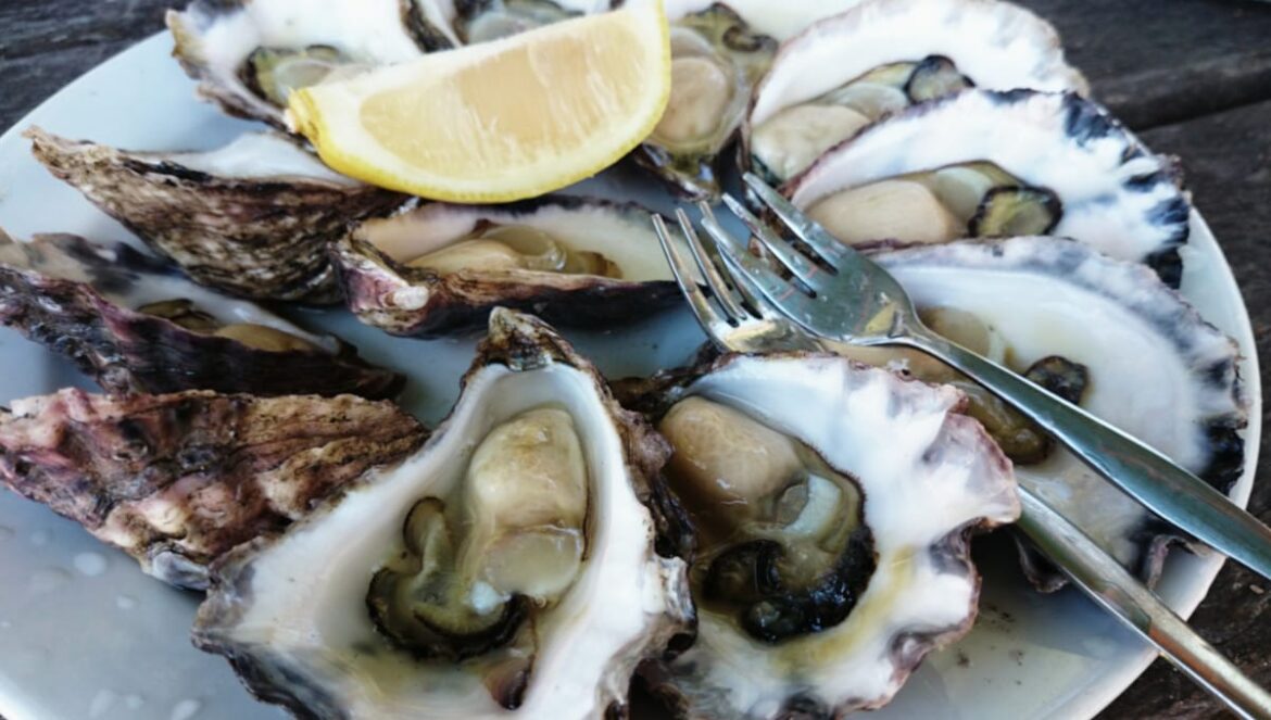 Virginia reporting more patients than CDC in outbreak traced to oysters Virginia reporting more patients than CDC in outbreak traced to oysters